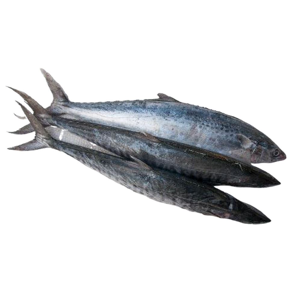 Dry Spanish Mackerel