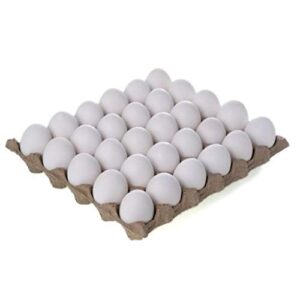FRESH TABLE WHITE EGGS