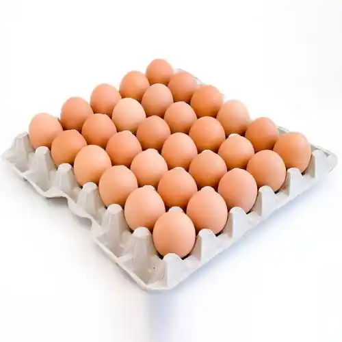 FRESH TABLE BROWN EGGS