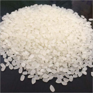 Japonica Rice