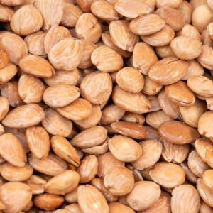 Marcona almonds