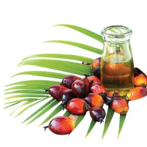 Palm Oil