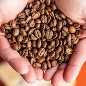 Robusta Coffee Beans