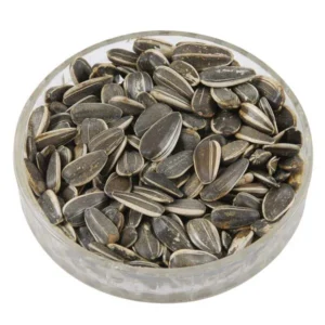 Sunflower seed