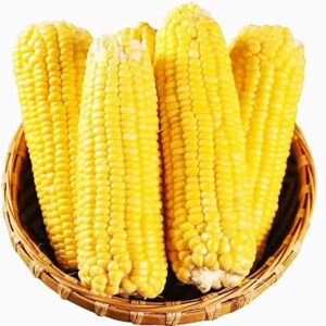Yellow Corn